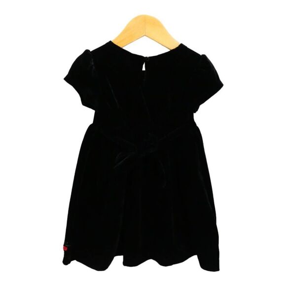 Blueberry boulevard Short Sleeve Black Velour Embroidered Dress Size 2T - Picture 3 of 7